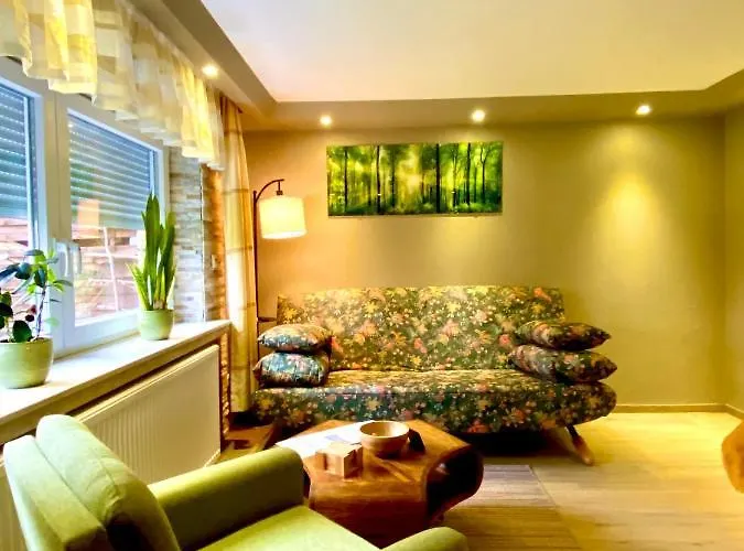 דירה Kassel Souterrain In Stadtnaehe Mit 2 Baedern Und Ev Lademoeglichkeit